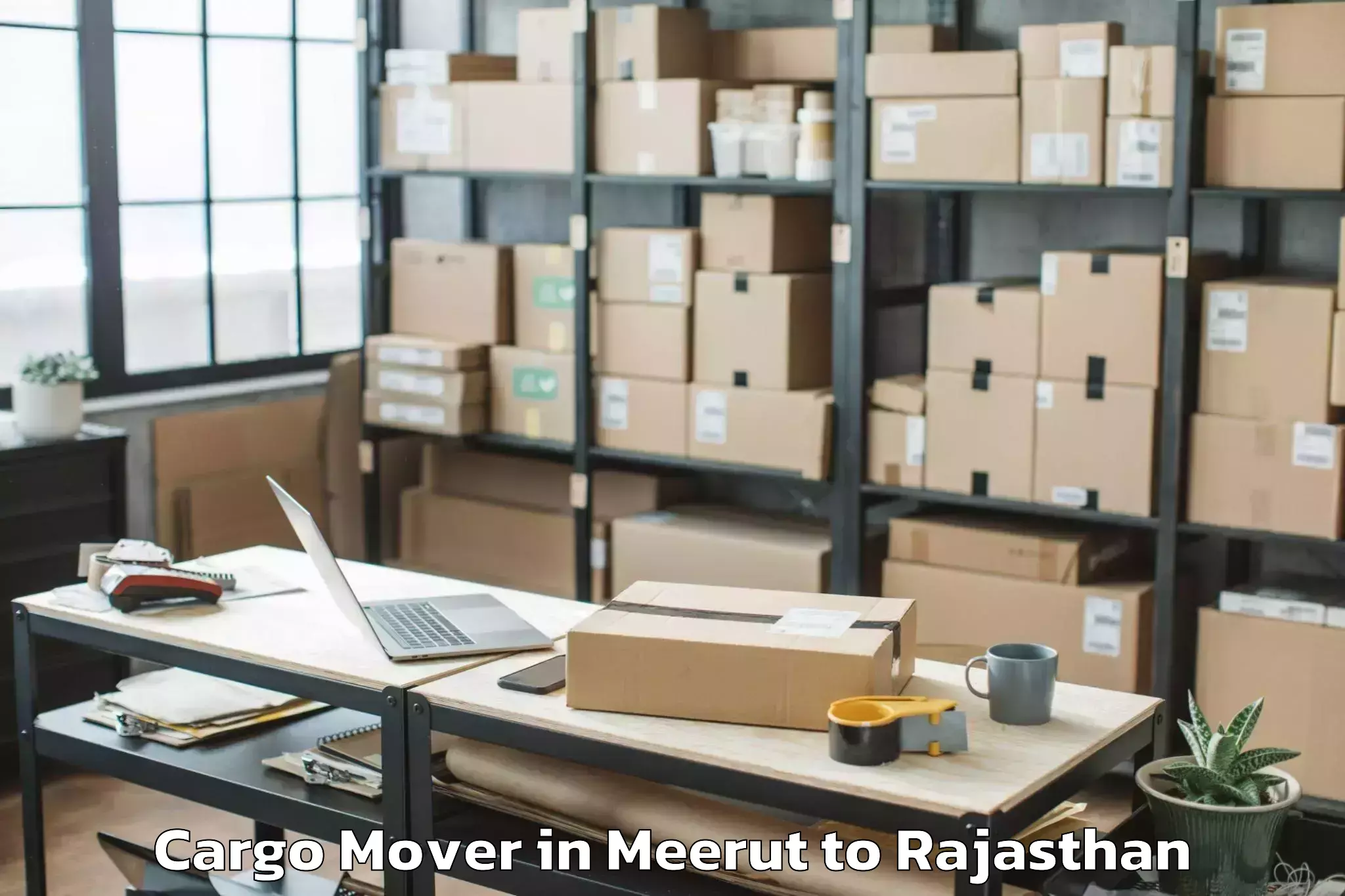 Easy Meerut to Balaran Cargo Mover Booking